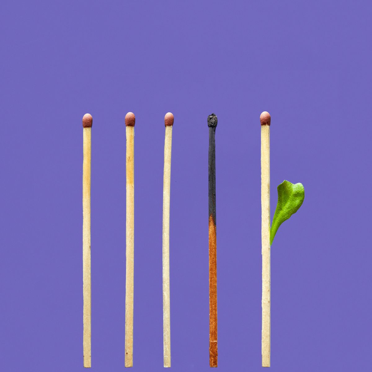 Georgie Gough — founder of MOTHERFUNGI® on burnout, recovery and building something better