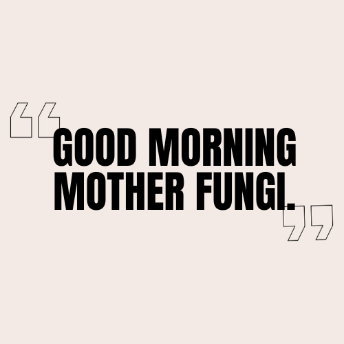 Good Morning Motherfungi